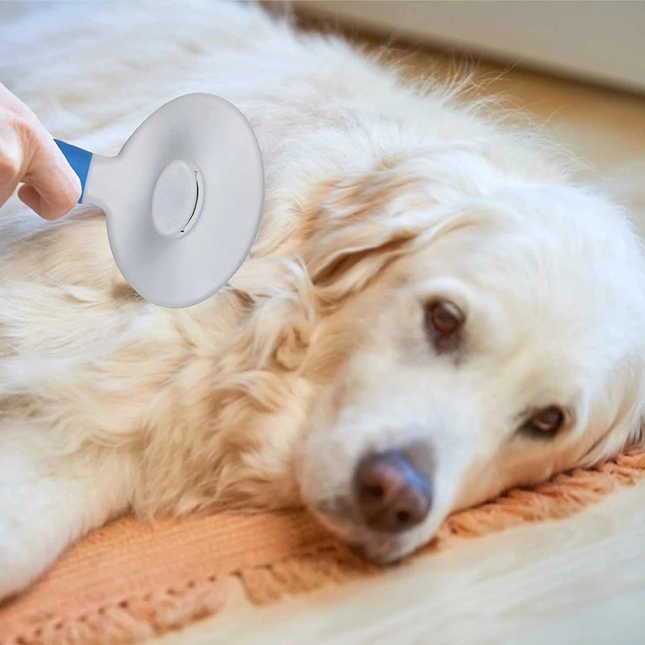 Cat Brush Self Cleaning Grooming Tool for Shedding and Grooming All Hair Lengths